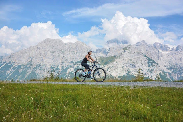 esperienze uniche da regalare in Trentino