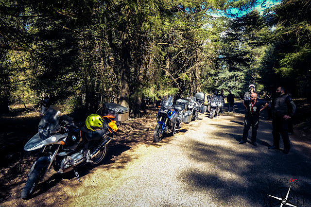 parada a picar, bosque de cedros Azrou