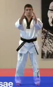 Taekwondo,Poomsae Koryo, (9) wtf/ Basai Dae (9)mdk