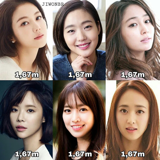 The height of Korean actresses Daily Korean News
