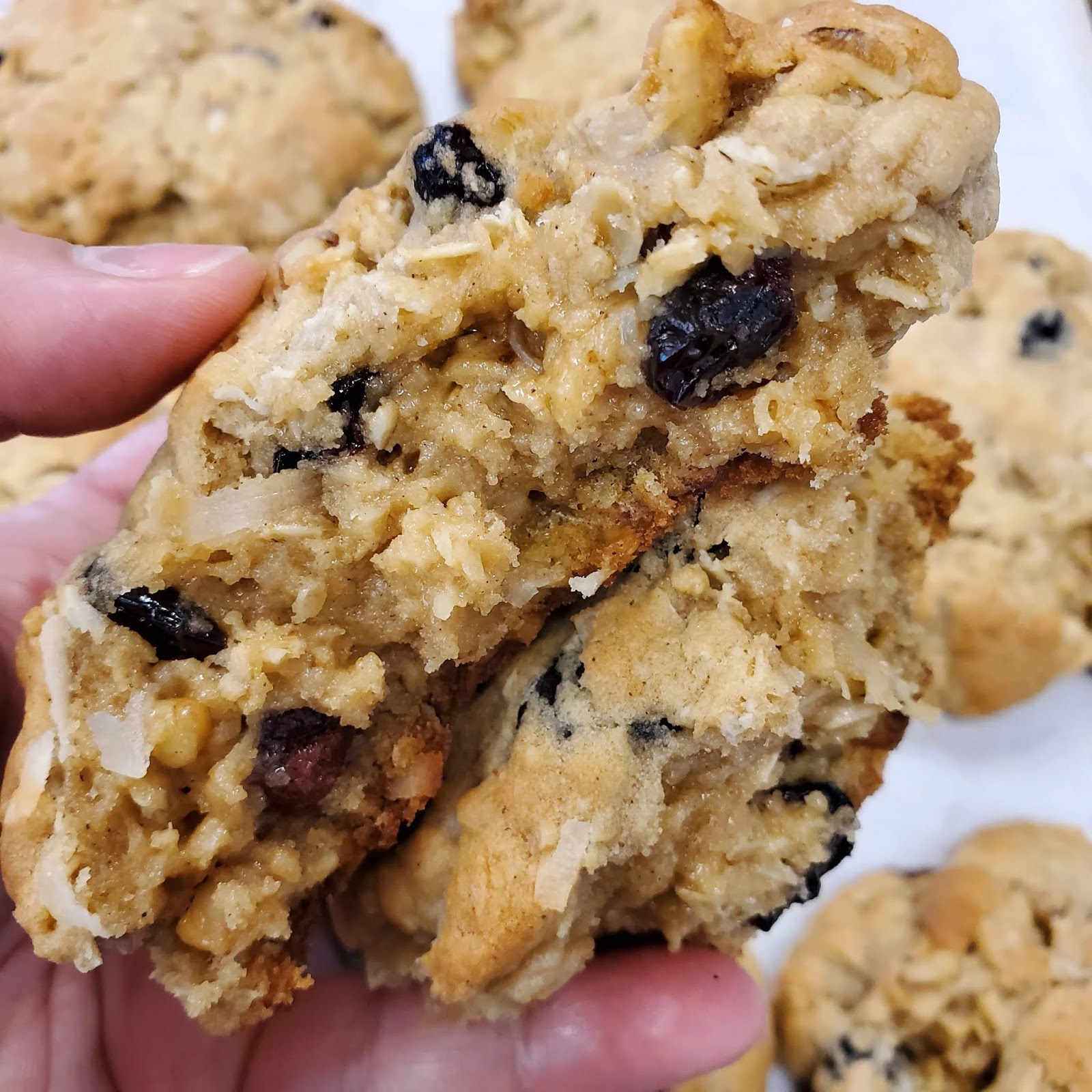Giant Oatmeal Cranberry, Walnut, and Coconut Cookies