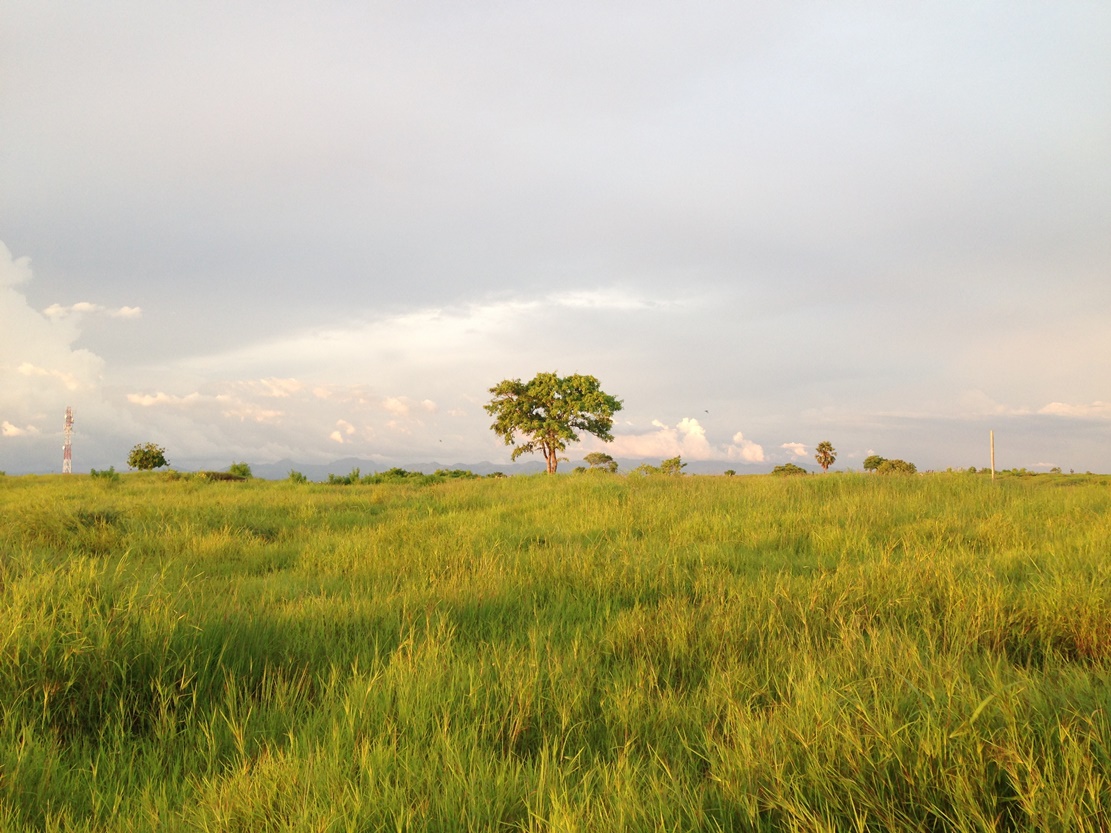 Bukit Cinta Bukit Favorit Pemuda Dan Pemudi Kota Kupang