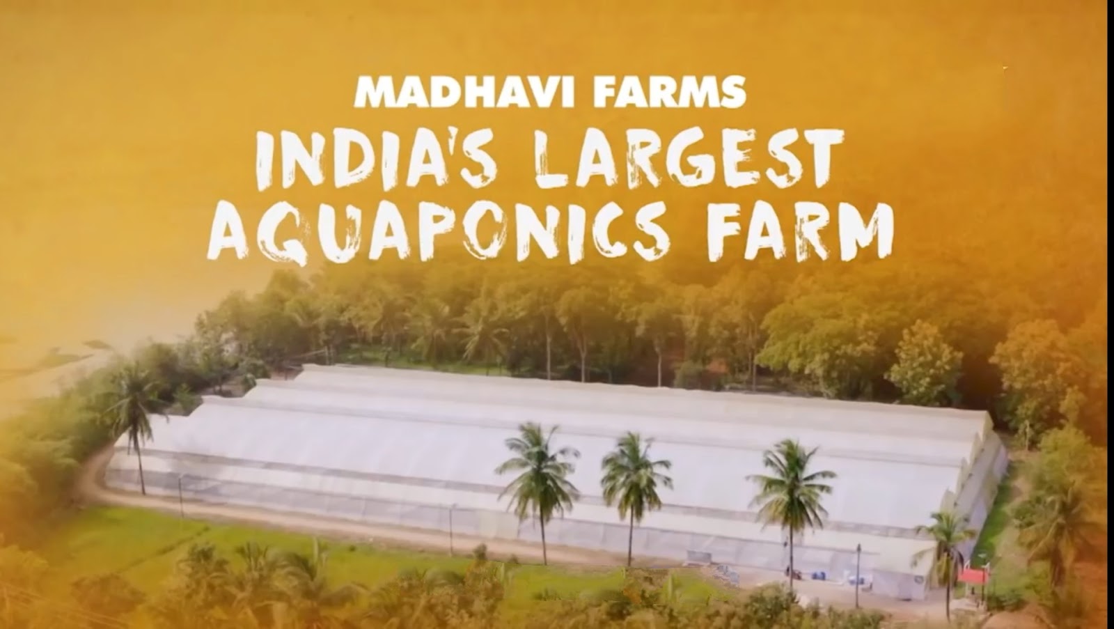 Aquaponics Farm Omg Yeh Mera India