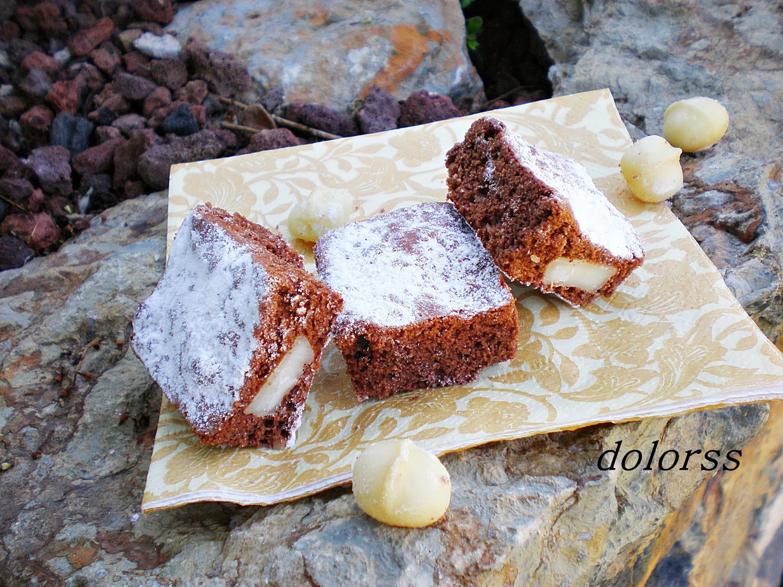 Blog de cuina de la dolorss: Brownie de nueces de macadamia