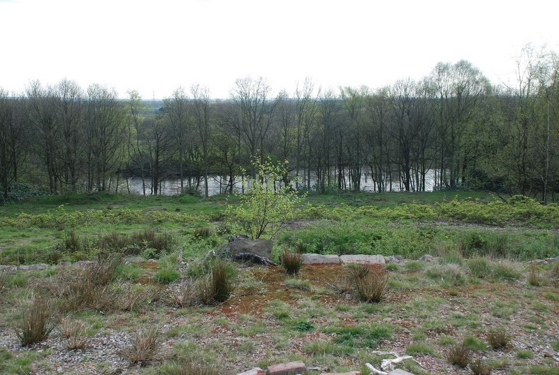 The Woodlands and Ornamental Lake at Worsley New Hall. Bosque y lago