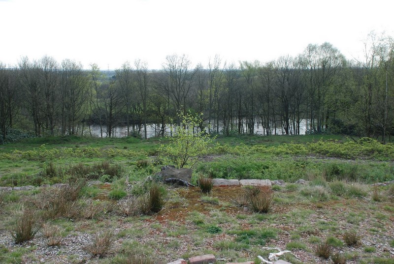 The Woodlands and Ornamental Lake at Worsley New Hall. Bosque y lago