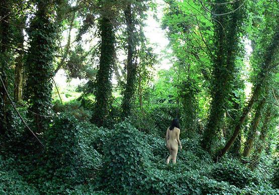 Nudist in the forest Nudist in the forest