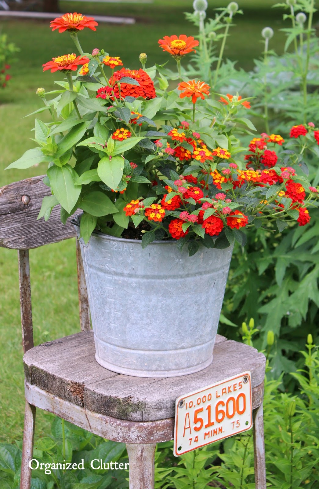 Beautiful Flowers in Junky Containers Organized Clutter