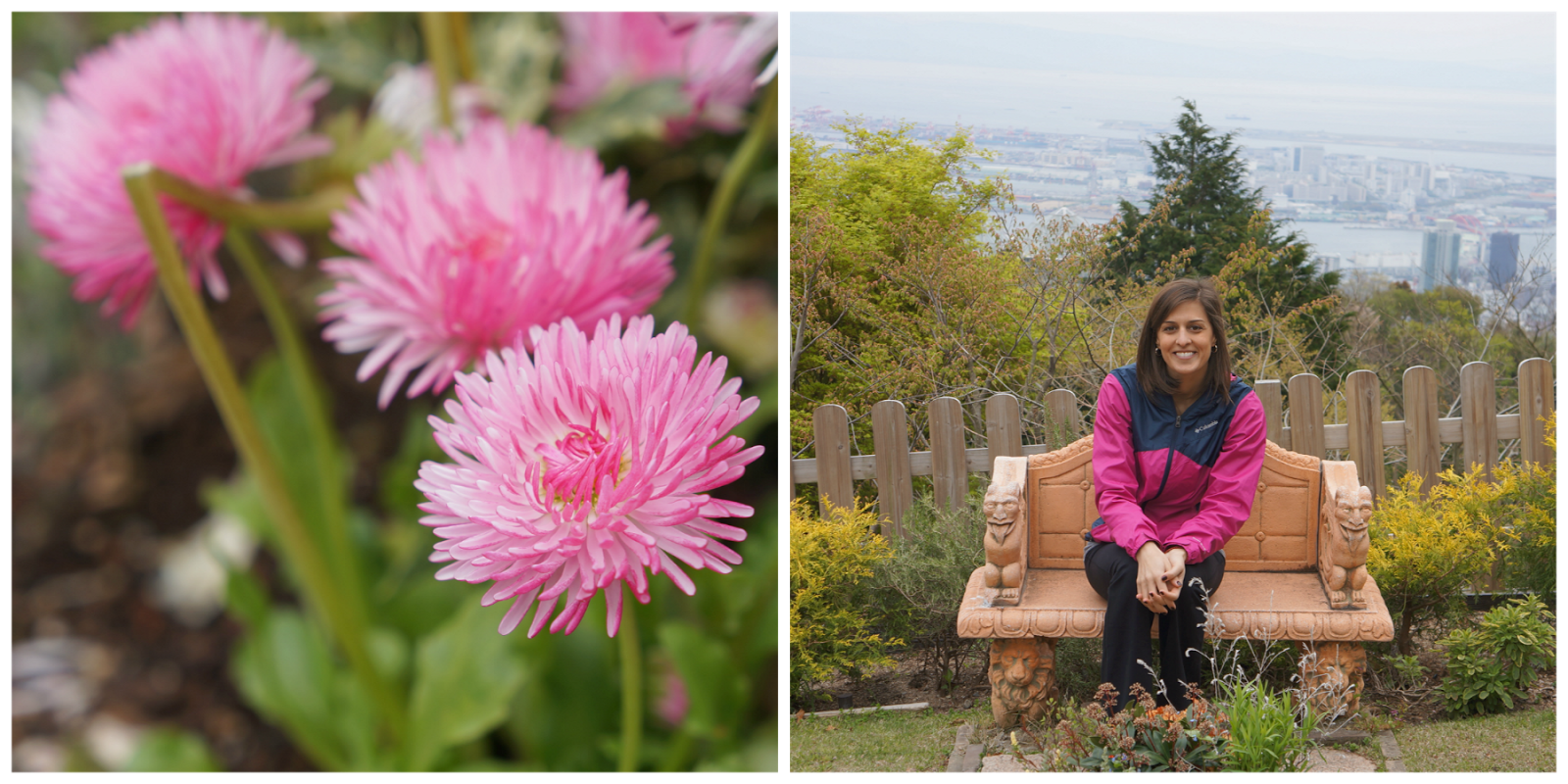 Throwing Home Herb Gardens and Ropeway