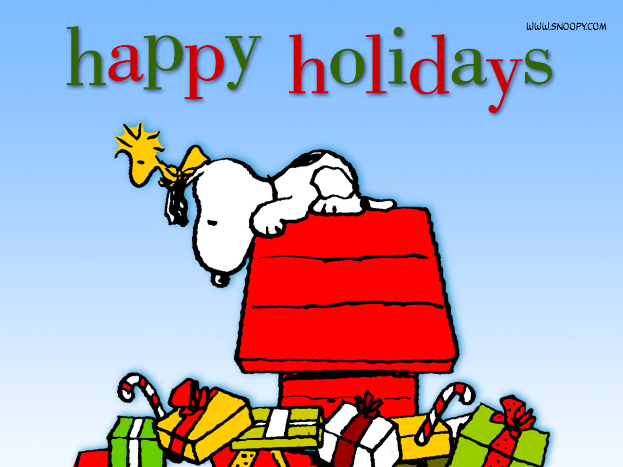 Alicantes Mountain Bike Felices Fiestas Decembrinas alicantes-mountain-bike-felices-fiestas-decembrinas