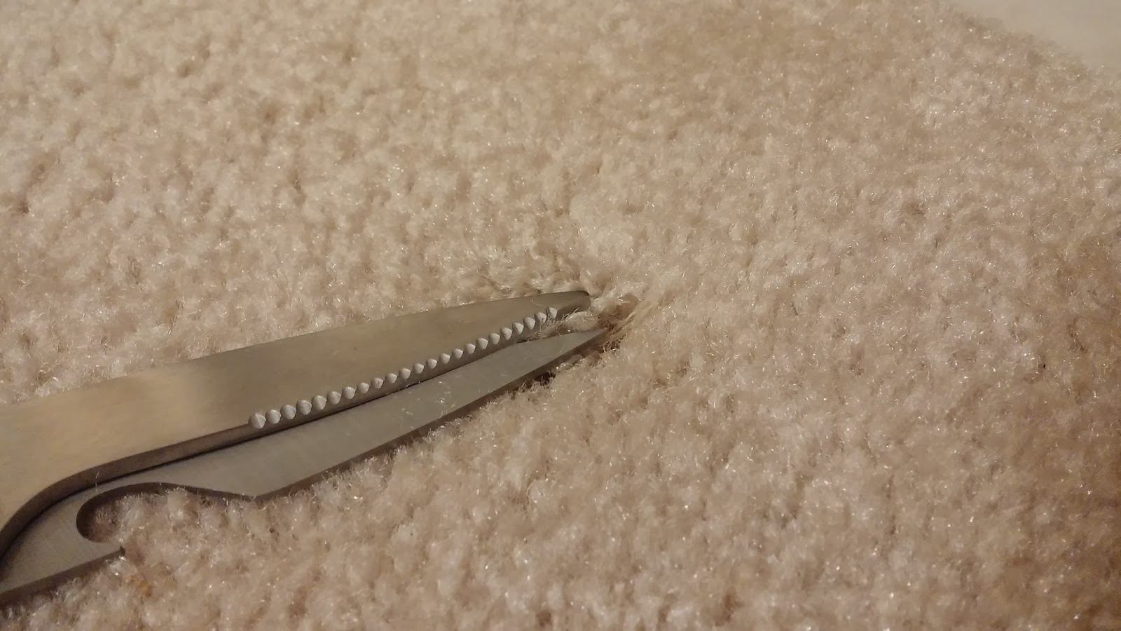 Fix Lovely How to fix burn marks in your carpet