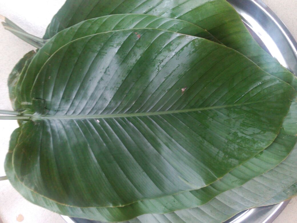 Ace Living Blog How to Prepare Nigerian Corn Pudding