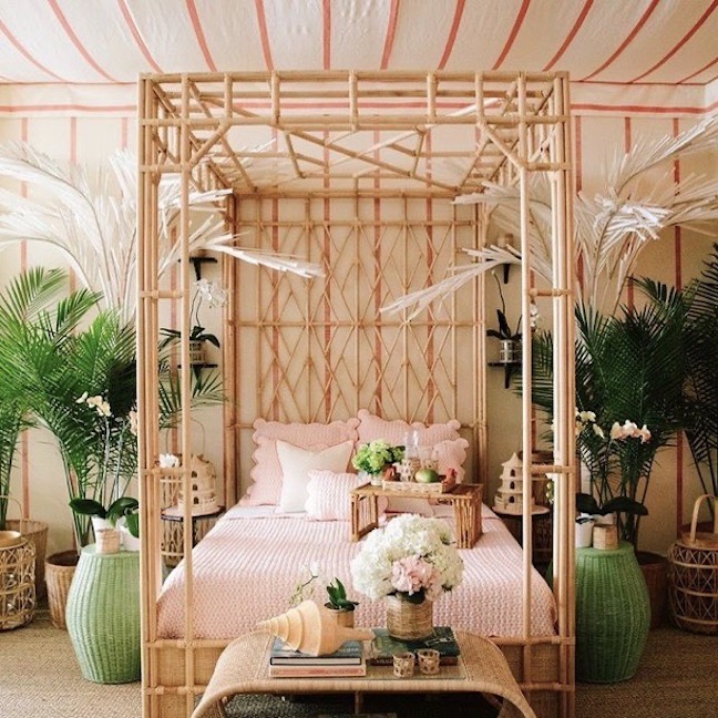 Chinoiserie Chic Palm Trees Indoors