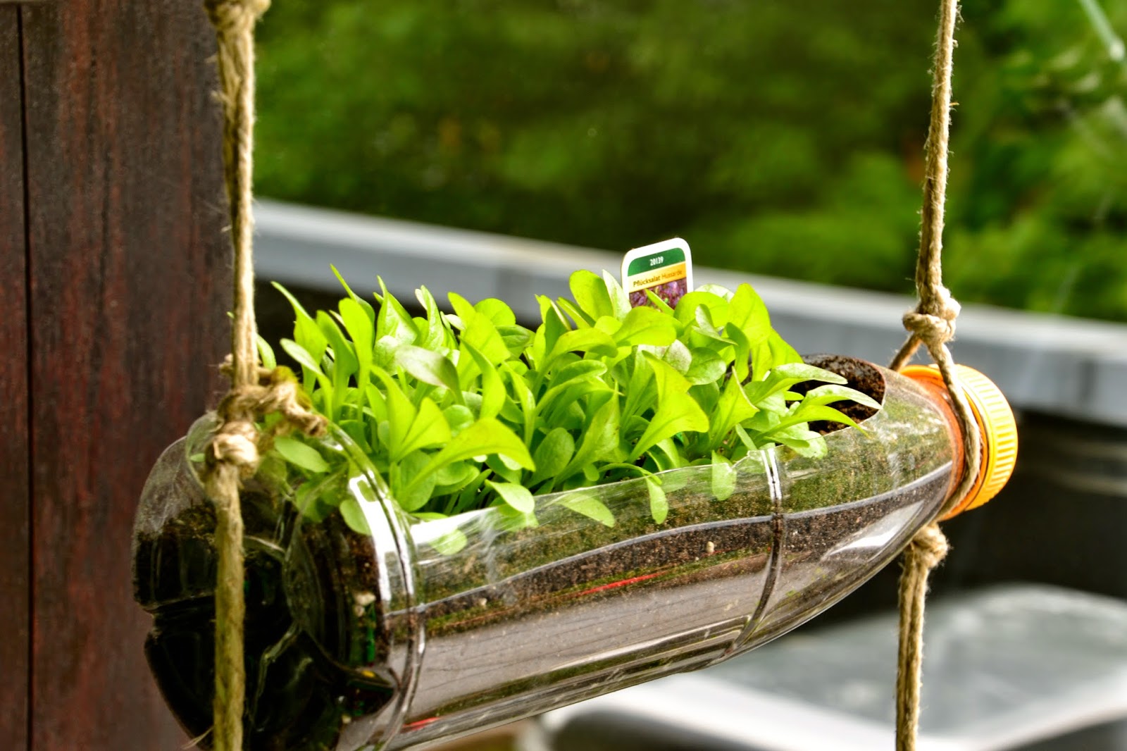 PROYECTO UNIVERSAL APERTURA DEL ALMA JARDÍN VERTICAL