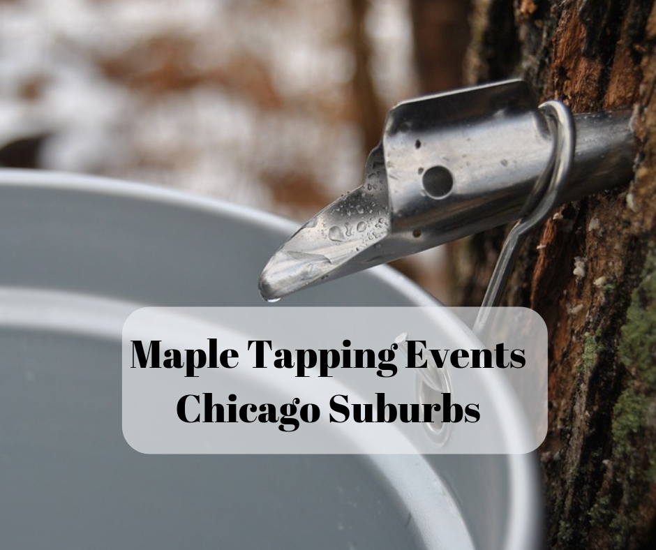 A Little Time And A Keyboard Maple Tapping Events In Chicago Suburbs a-little-time-and-a-keyboard-maple-tapping-events-in-chicago-suburbs