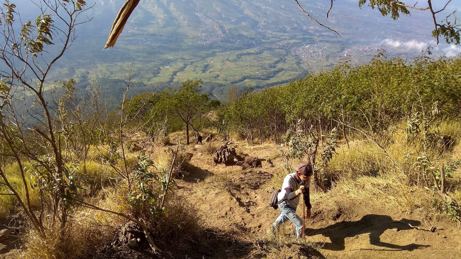 Jalur Pendakian Gunung Sindoro Via Kledung - Tenda Inspirasi