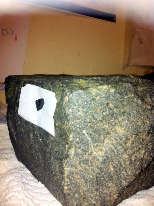 HISTORY OF A BECK The rocks and bones of south west Cleveland