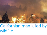 https://sciencythoughts.blogspot.com/2018/07/californian-man-killed-by-wildfire.html