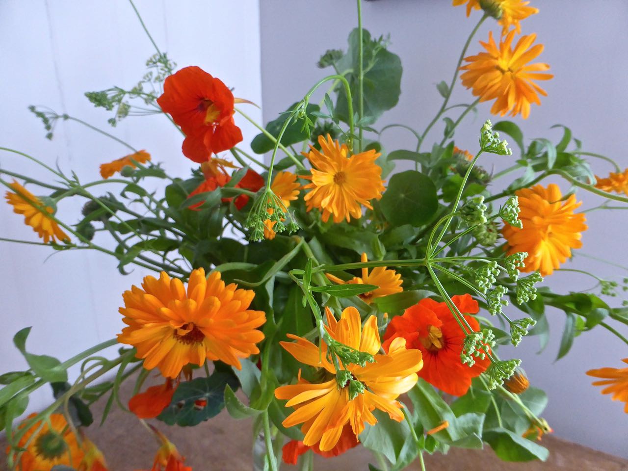 An orange vase on Monday