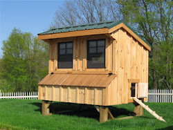 chicken coop plans simple designs build chickens coops hens building op easy plan backyard shed portable houses own mansion egg