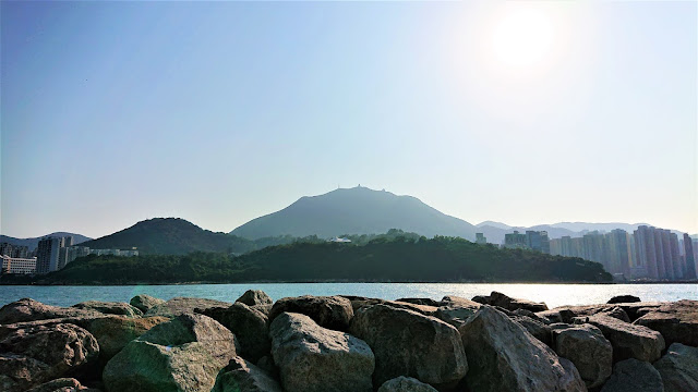 鯉魚門馬背村