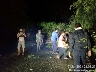 Pohon Asam Tumbang di Lajoa Soppeng Lumpuhkan Akses Jalan