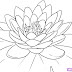 Coloring Pages Of Lotus Flower