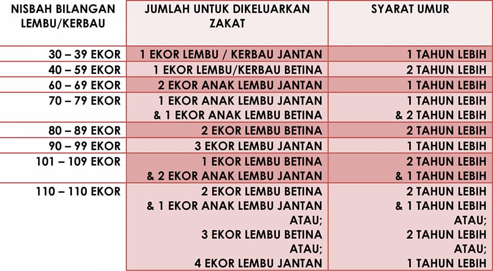 Ilmu Untuk Ternakan Ruminan Panduan Zakat Binatang Ternakan