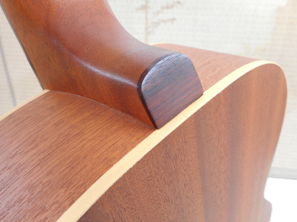 Rex and the Bass La Patrie Etude Acoustic Guitar Review