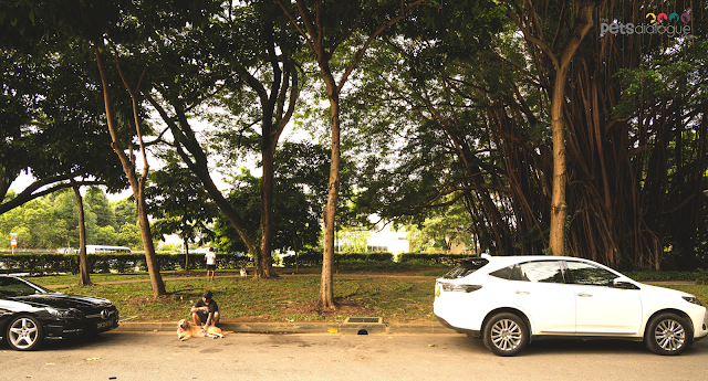 Kampong Bugis Singapore