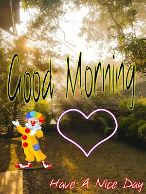 Good Morning Images Good Morning Images