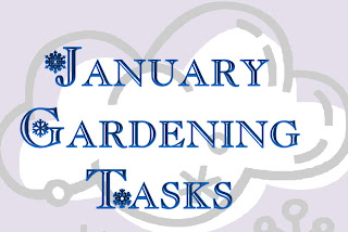 January Gardening Tasks in Canada - Featured Image