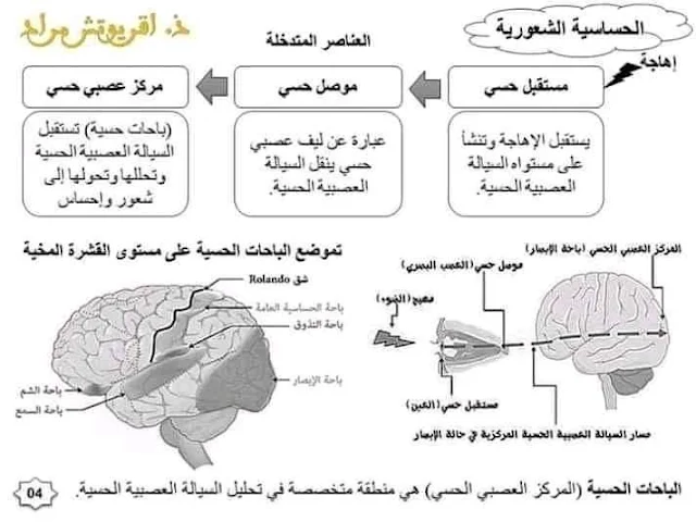 ملخصات دروس مادة علوم الحياة والارض للسنة الثالثة اعدادي.