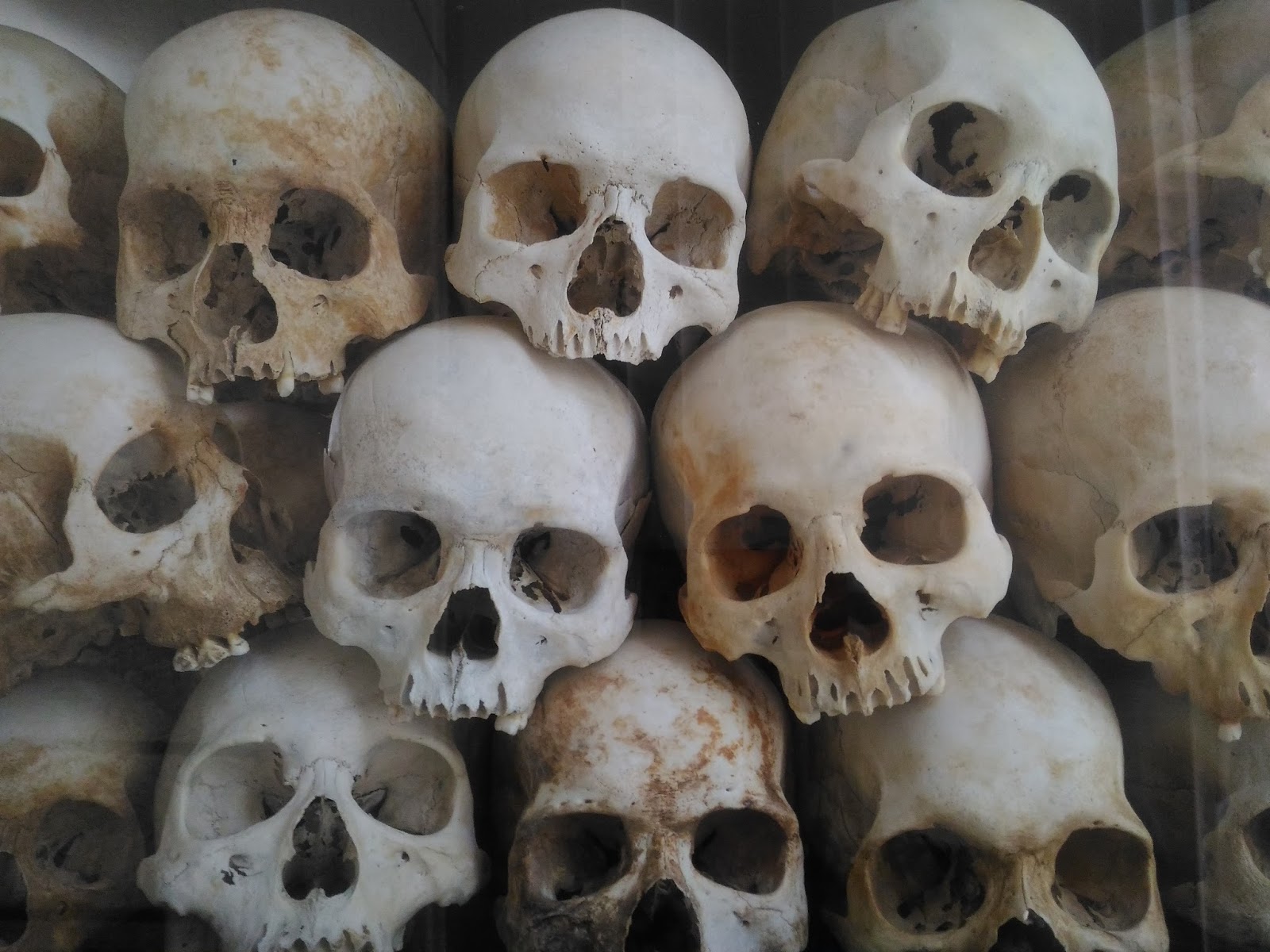 Поля смерти камбоджа Поля смерти камбоджа