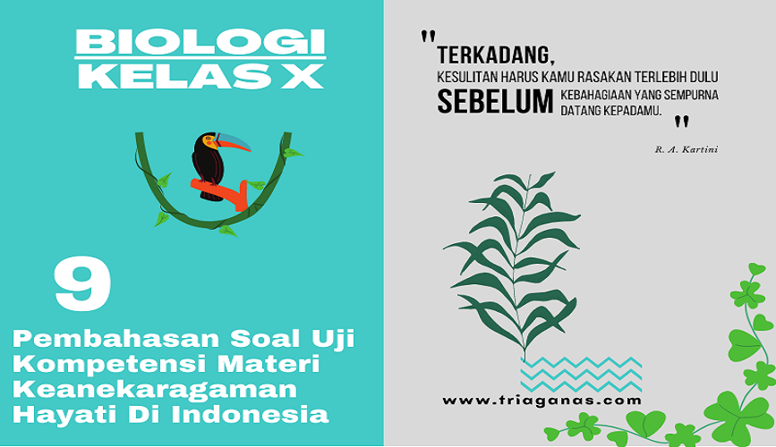 Gambar Pengelompokkan makhluk hidup yang didasarkan atas hubungan kekerabatan