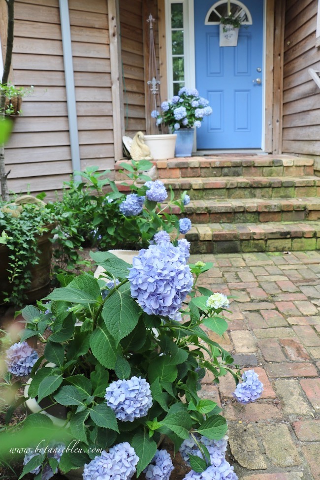 Side Yard Makeover Creating Curb Appeal Love Of Family Home