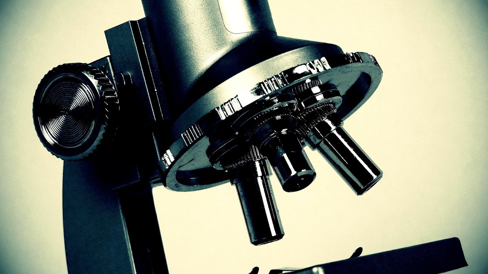 Medical Laboratory Technician Certification Medicine - Medicine Choices