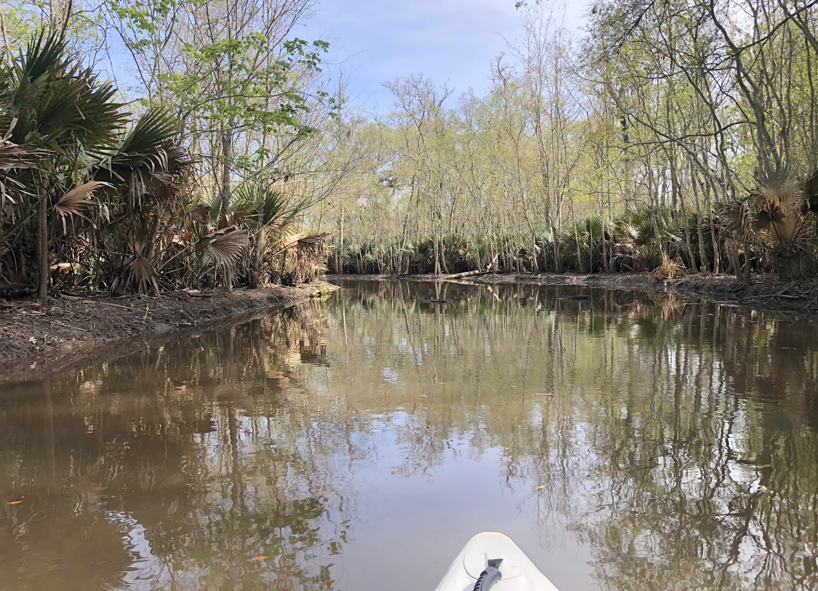 Wandering His Wonders Our favorite things about our first Louisiana State Park