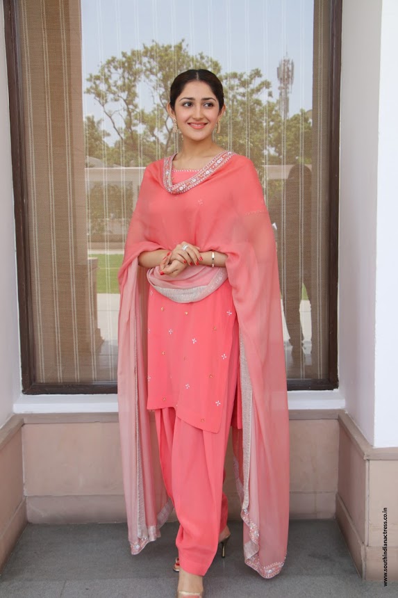 Sayyeshaa Saigal at Kadaikutty Singam Success Meet