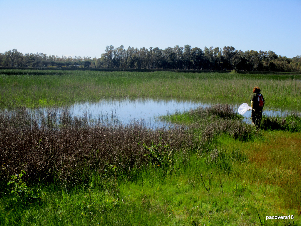 CH´USAY Laguna de la Paja ( primera jornada)