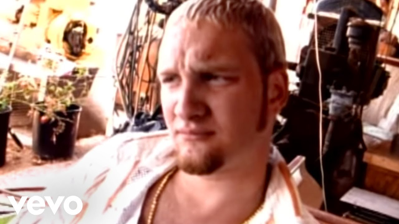 ALICE IN CHAINS DOWN IN A HOLE LYRICS ALICE IN CHAINS DOWN IN A HOLE LYRICS