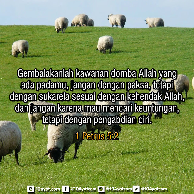1%2BPetrus%2B5 2
