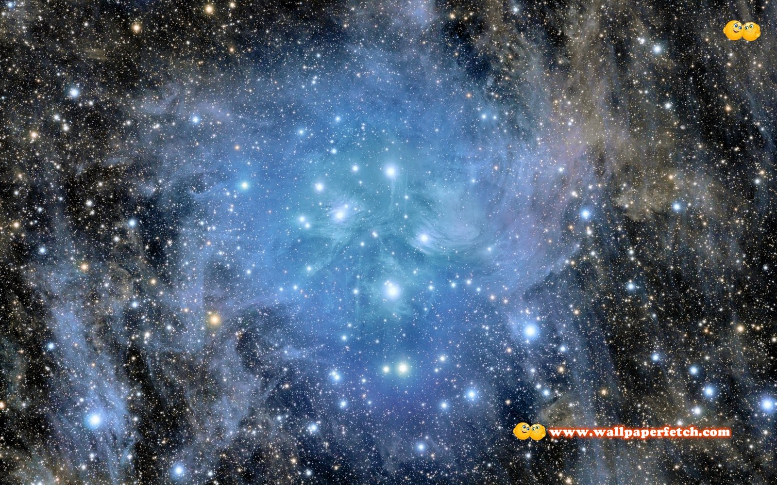 Wallpaper Prehe: The Best Wallpapers Pack