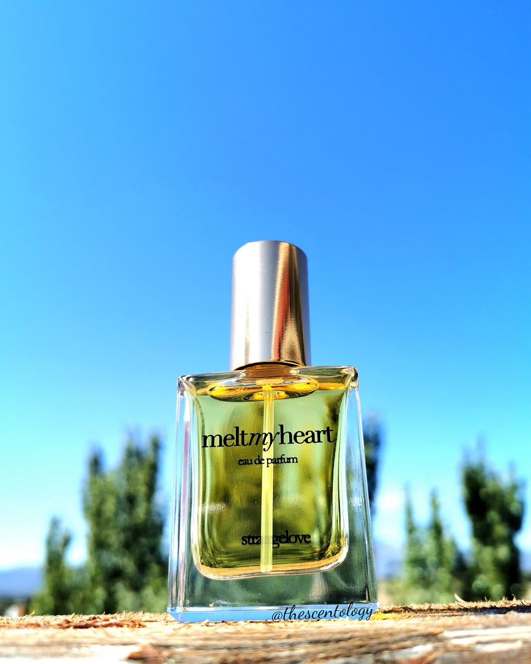 Melt my Heart by Strangelove NY