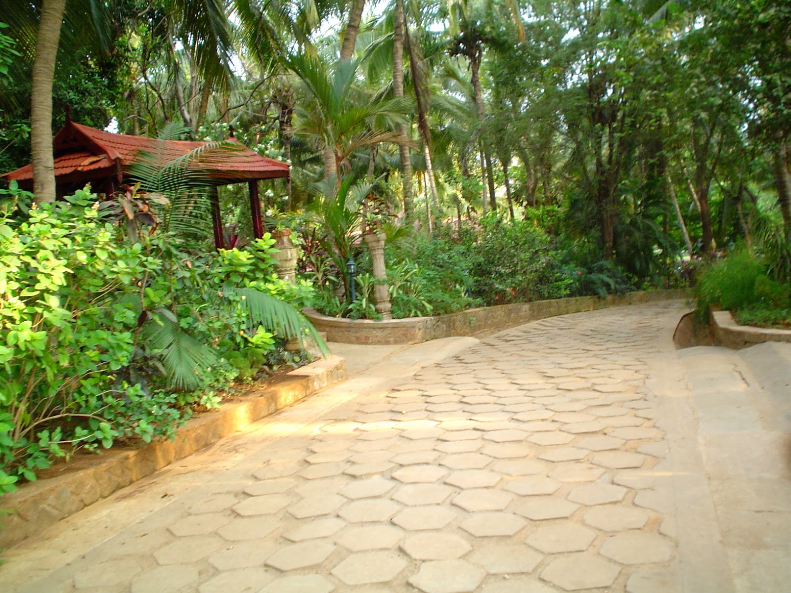 ayurvedic yoga training center and Ayurvedic Resorts Book a Luxury