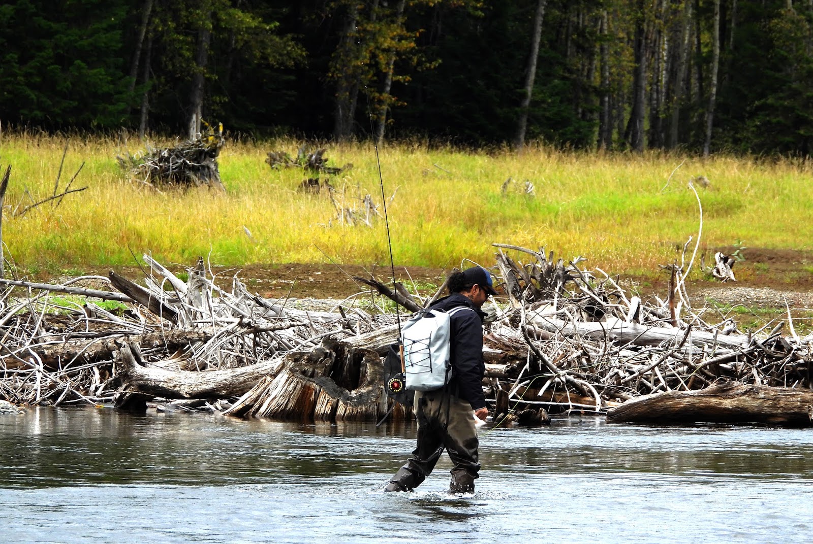 Ebi Fisher Skagit River British Columbia , Rainbow trout , Brook trout