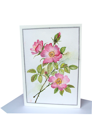 pink,bunch,wild,roses,painted,greetingcard,watercolour,botanical,floral,flowers