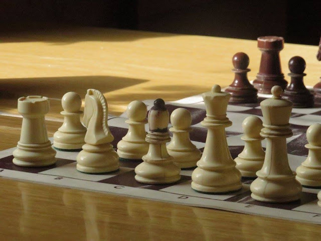 Uskoro počinju šahovske lige u Vojvodini
