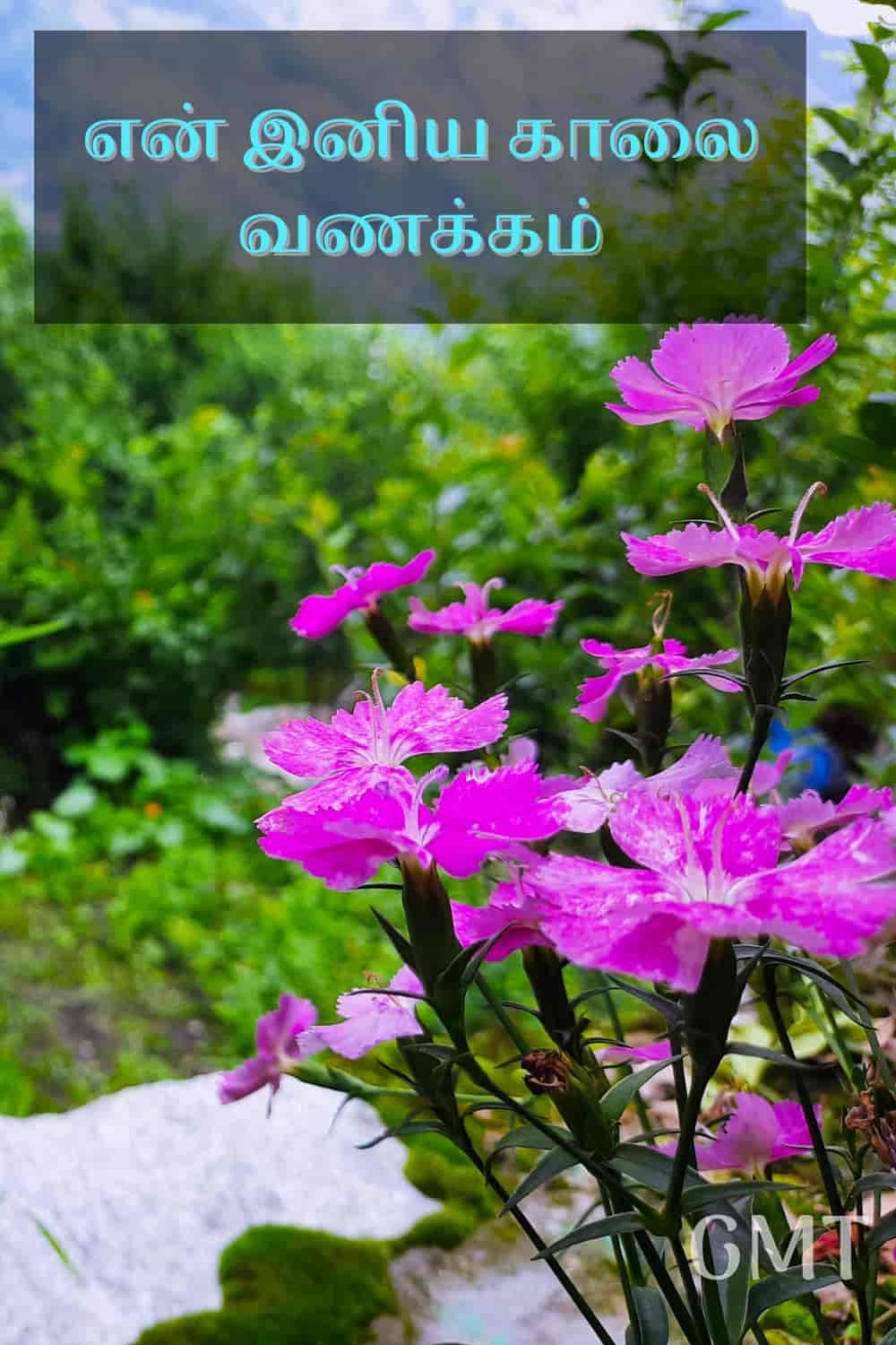 1010+ புதிய காலை வணக்கம் தத்துவங்கள் ...