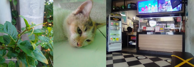 Review Evercoss M6 Produk Asal Pasang Os Android 10